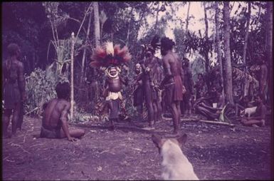 Initiation of the boys (4) : singsing ground of the Kukiga Clan, Wahgi Valley, Papua New Guinea, 1955 / Terence and Margaret Spencer
