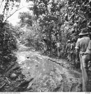 KAMKAMUN, NEW GUINEA. 1943. THE TRACK LEADING TO KAMKAMUN AND THE LAE CASUALTY CLEARING STATION, OPERATED JOINTLY BY THE 10TH FIELD AMBULANCE AND THE 106TH CASUALTY CLEARING STATION