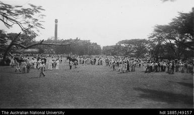Judging horses, Rarawai Show