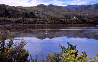 Parapara Inlet