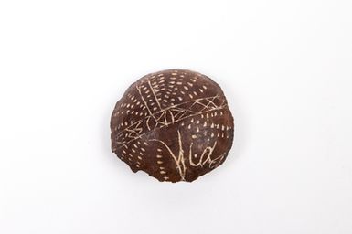 seed
