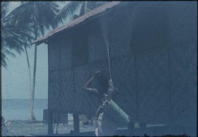 Spraying on Mapamoiwa Station : Fergusson Island, D'Entrecasteaux Islands, Papua New Guinea, 1959 / Terence and Margaret Spencer