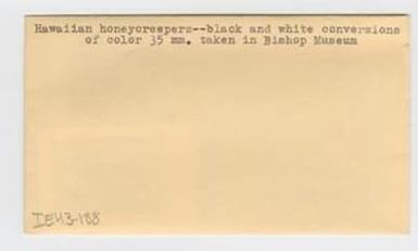 [Hawaiian honeycreepers in Hawaii, envelope IE43-188]