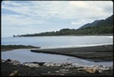 Coral beach landscape