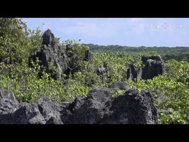 TAGATA PASIFIKA: Makatea Island Phosphate Mining