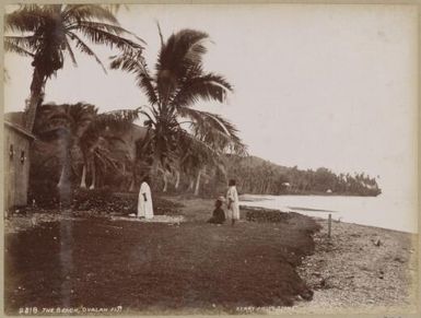The beach, Ovalau, Fiji, approximately 1890 / Charles Kerry