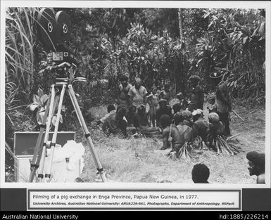 Papua New Guineans discuss a pig-exchange in the Enga Province