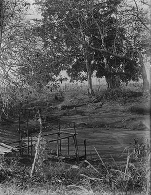 source of the spirits of the dead