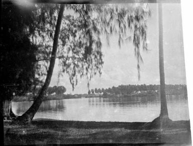 Two palm trees by a shore with a headland in the distance, Madang, New Guinea, ca. 1935 / Sarah Chinnery