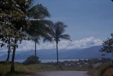 [Landscape of road, Papua New Guinea]