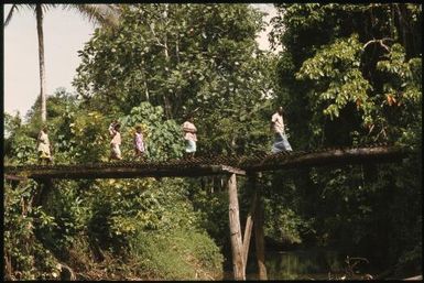 Pedestrians on bridge on the road to Yagaum : Madang, Papua New Guinea, 1974 / Terence and Margaret Spencer