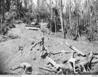 BOUGAINVILLE. 1945-05-21. MEN OF 15 FIELD COMPANY, ROYAL AUSTRALIAN ENGINEERS, IN THE FOREGROUND, CONSTRUCTING A CULVERT TO REPLACE A JAPANESE BRIDGE DESTROYED BY THE ROYAL NEW ZEALAND AIR FORCE'S ..