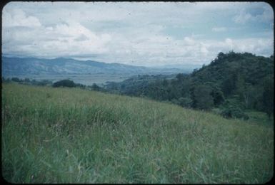Looking up the Waghi Valley towards Mount Hagen in the west from Nondugl area : Papua New Guinea, 1954 / Terence and Margaret Spencer