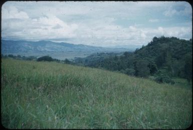 Looking up the Waghi Valley towards Mount Hagen in the west from Nondugl area : Papua New Guinea, 1954 / Terence and Margaret Spencer