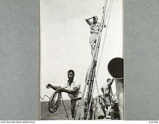 NEW GUINEA. 1942-08-04. SERGEANT BILL JOHNSON FROM THE RIGGING OF HIS KETCH WHICH WAS FORMERLY USED AS A RUBBER BOAT, KEEPS A CLOSE WATCH AHEAD FOR REEFS WHILE HIS NATIVE BOSUN TAKES SOUNDINGS WITH ..