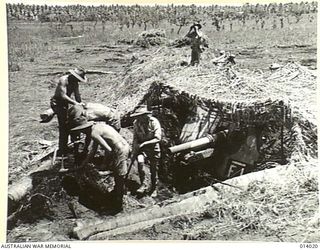 1943-01-08. PAPUA. BUNA. A 25 POUNDER BEING CAMOUFLAGED IN A GUN-PIT FORM WHERE IT CAN SHOOT AT ENEMY PILLBOXES OVER OPEN SIGHTS. AN OFFICER WATCHES FOR ANY MOVEMENT BY THE JAPANESE, SO THAT HE CAN ..