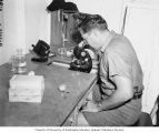 L. B. Marquiss taking blood counts on fish specimens, probably in the vicinity of Bikini Atoll, summer 1947