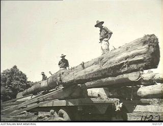 AITAPE, NORTH EAST NEW GUINEA. C. 1944-06. LOGS BEING UNLOADED AT A SAWMILL ESTABLISHED AND OPERATED BY NO. 7 MOBILE WORKS SQUADRON RAAF