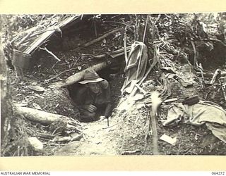 SHAGGY RIDGE, NEW GUINEA. 1944-01-23. NX99758 PRIVATE J.W. PARKER OF "C" COMPANY, 2/9TH INFANTRY BATTALION LOOKING OUT FROM A JAPANESE DUGOUT ON SHAGGY RIDGE SOON AFTER THE DEFEAT OF THE ENEMY