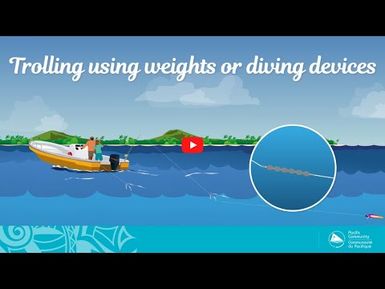 Fish and tips S1 Ep5 (English) - Trolling using weights or diving devices