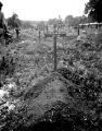 Grave of Marion Van Der Werff, Guadalcanal, 1940s