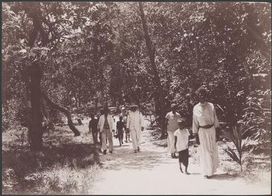 Group of people walking along track to village at Rowa, Banks Islands, 1906 / J.W. Beattie
