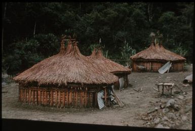 Goroka houses: note use of corrugated iron (2) : Wahgi Valley, Papua New Guinea, 1970 / Terence and Margaret Spencer