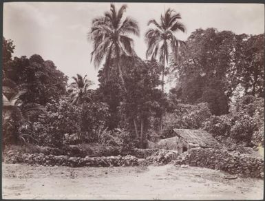 The dancing ground in the village of Pileni, Reef Islands, 1906 / J.W. Beattie