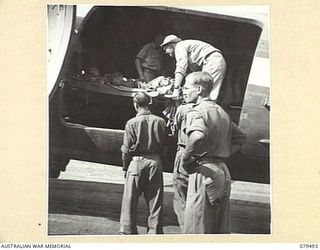 DREGER HARBOUR, NEW GUINEA. 1944-01. MEMBERS OF THE 10TH FIELD AMBULANCE LOADING PATIENTS ABOARD AN AIRCRAFT FOR EVACUATION AT THE STRIP A.D.S DREGER HARBOUR (AIRSTRIP ADVANCED DRESSING STATION, ..