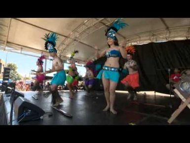 Pasifika Vibes Festival 2014