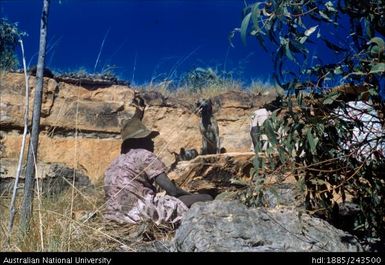 Woman hunting for echidna