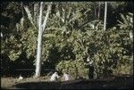 Vaiohu'a archaeological excavation, Moorea: people at work