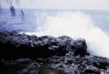 French Polynesia, volcanic rock on shoreline in Papeete