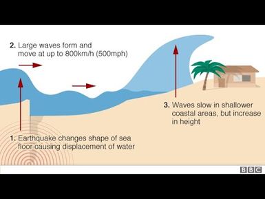 Lesoni ni Ualoka - Vuli ni Ualoka se Tsunami ena kena Vosa Vaka- Javani #Tsunami101