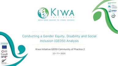 Conducting a Gender Equity, Disability and Social Inclusion (GEDSI) Analysis