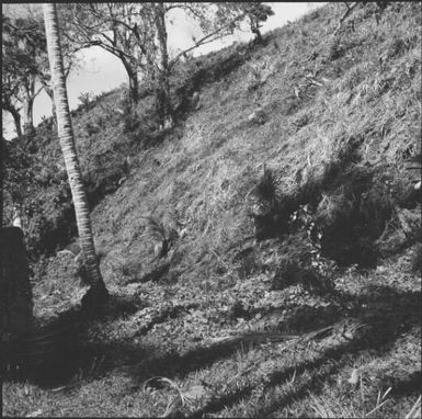 Remains of an old fort, Taveuni, Fiji, 1966, 2 / Michael Terry