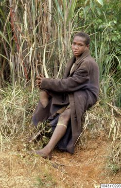 ["porträtt, fotografi, photograph"]