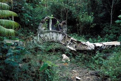 Rear view of an F4U Corsair fighter aircraft that crashed on approach to the Orote Airfield main runway in 1944. The wreckage lies about 320 meters south of the main runway. It is one of the points of interest on the Guam Historical Trail