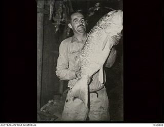 KIRIWINA, TROBIAND ISLANDS, PAPUA. C. 1944-03. 80466 LEADING AIRCRAFTMAN E. WOOLCOCK OF FREMANTLE, WA, A FLIGHT MECHANIC WITH NO. 30 (BEAUFIGHTER) SQUADRON RAAF, HOLDING A "GOOD CATCH" WHICH ..