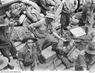 SIPAAI, BOUGAINVILLE ISLAND. 1945-01-07. A MEMBER OF THE "B" CORPS OF SIGNALS ATTACHED TO THE 31/51ST INFANTRY BATTALION WITH HIS DOG MASCOT AND HIS CRATES OF CARRIER PIGEONS PREPARES TO TRANSFER ..