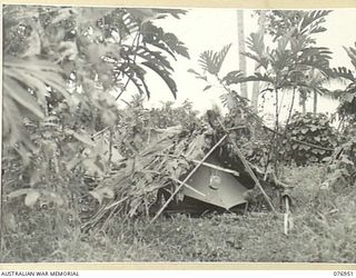 JACQUINOT BAY, NEW BRITAIN. 1944-11-12. A SECTION OF THE MORTAR PLATOON, 14/32ND INFANTRY BATTALION, AT THE 1ST NEW GUINEA INFANTRY BATTALION PERIMETER NEAR THE MARAU PLANTATION