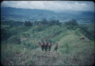 At south-east end of Waghi Valley looking towards Wahgi Divide across a spur of the Kubor Range foothills : Papua New Guinea, 1954 / Terence and Margaret Spencer