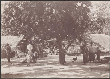 Villagers standing amongst buildings in Nerinignam, Mota Lava, Banks Islands, 1906 / J.W. Beattie