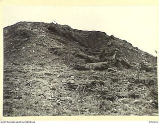 WANDOKAI, NEW GUINEA. 1944-04-18. THE EFFECT OF 25 ROUNDS FIRED BY MEMBERS OF THE 1ST TANK BATTALION FROM THE 3 INCH HOWITZER OF A MATILDA TANK AT A JAPANESE TYPE COCONUT LOG BUNKER. EIGHTEEN OF ..