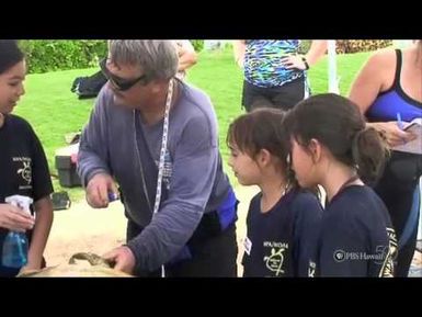 PBS Hawaii - HIKI NŌ Episode 111 | Hawaii Preparatory Academy | HPA Turtle Tagging