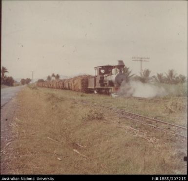 Cane Train