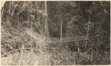 Kunda bridge [ Central New Guinea], October 1936