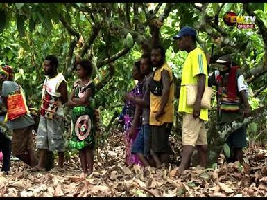 K4 MIL FOR COCOA BOARD