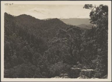 Wharton Ranges 8,000 feet, Papua New Guinea, ca. 1922 / Frank Hurley