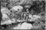 Pig festival, pig sacrifice: pigs are brought to ritual slaughter, boys watch from bridge